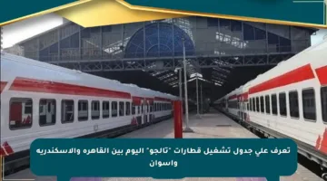 تعرف على جدول تشغيل قطارات “تالجو” اليوم بين القاهرة والإسكندرية وأسوان